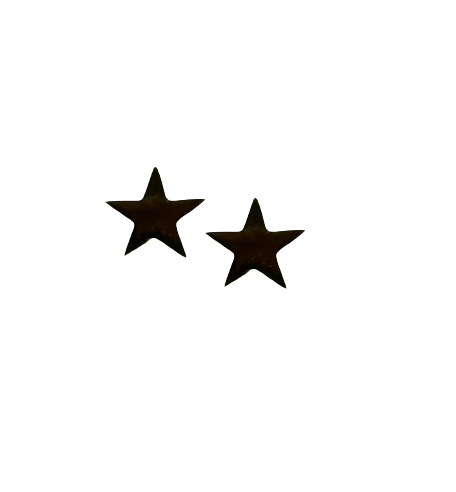 MINI STAR GOLD STUDS